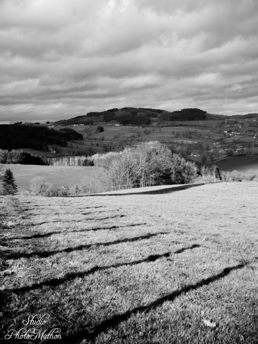 photographe reportage à domicile digoin