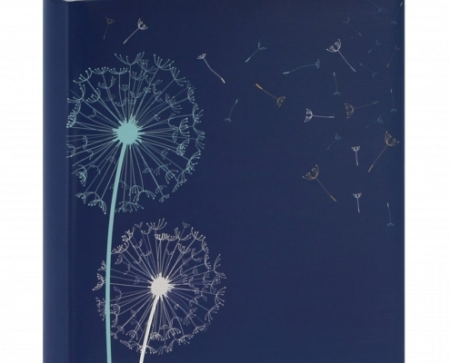 album 200 photos charolles