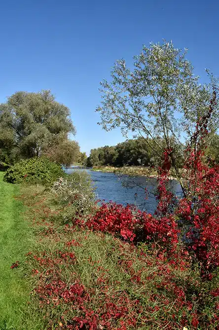 séance photo mariage marcigny, Séance photo de couple bohème sur les rives sauvages de la Loire à Marcigny - Photographe Mariage