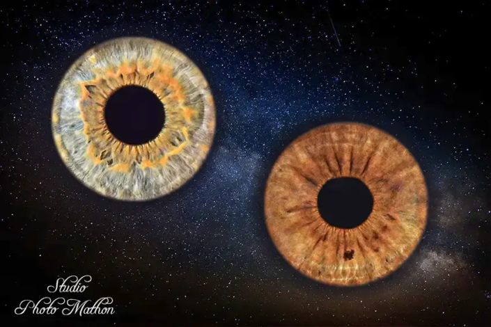 prestation photo iris gueugnon