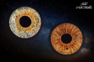 tarifs et prestations iris photographe marcigny