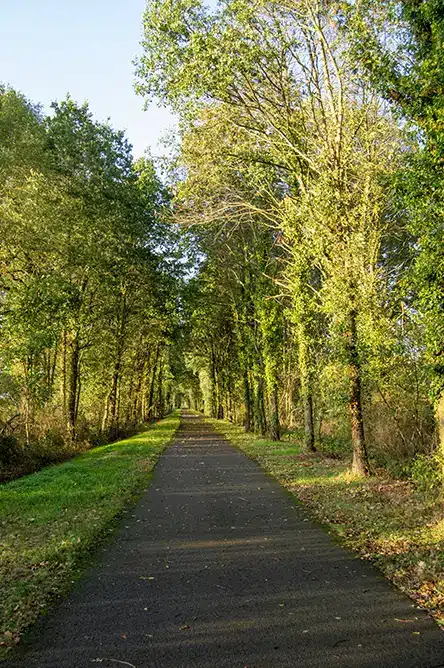 séance mariage marcigny, Séance photo de mariage dynamique sous les tunnels de verdure de la Voie Verte à Marcigny