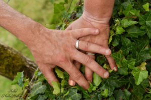Photographe Mariage Paray-le-Monial